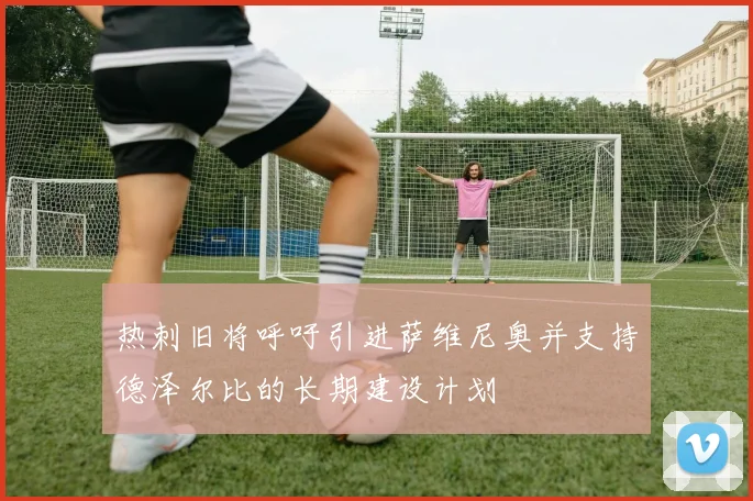 热刺旧将呼吁引进萨维尼奥并支持德泽尔比的长期建设计划