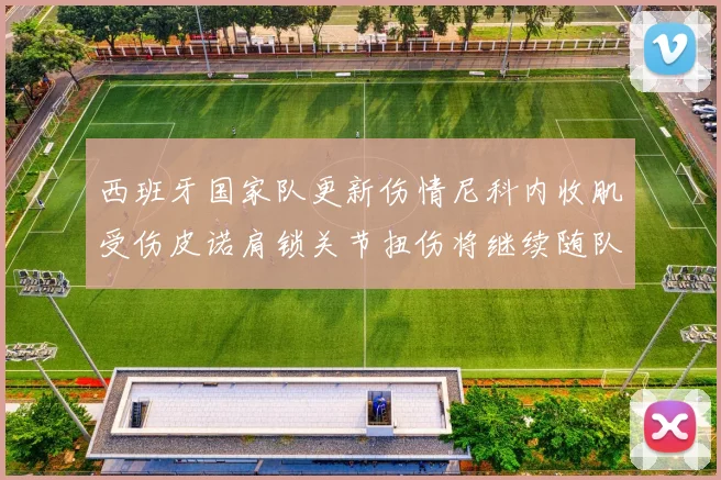 西班牙国家队更新伤情尼科内收肌受伤皮诺肩锁关节扭伤将继续随队训练
